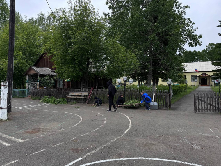 Летняя трудовая практика.